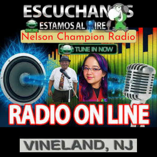 NELSON CHAMPION RADIO
