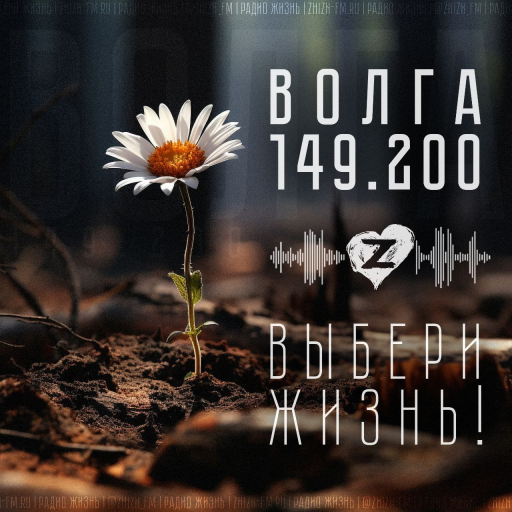 Радио Жизнь