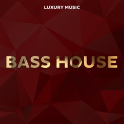 LUXURY MUSIC BASS HOUSE