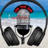 Borovo