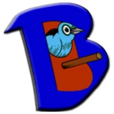 Birdhill Radio