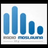 Moslavina