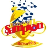 Şampiyon