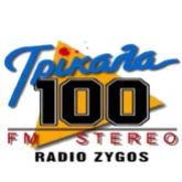 Zygos