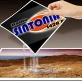 Sintonía