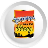 Galaxia La Picosa