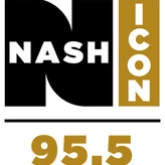 WSM Nasch Icon