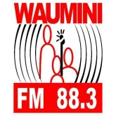Waumini