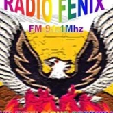 FM Fénix 91.1 (Эмбаркасьон)