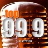 Fm Top (Плоттьер)