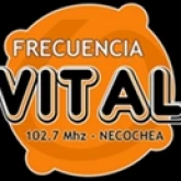 Frecuencia Vital FM 102.9 (Некочеа, Буэнос-Айрес)