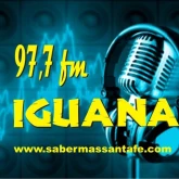 Iguana