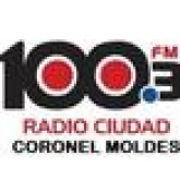 RCM 88 Radio Ciudad (Коронель Мольдес)