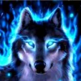 Blue Wolf Radio