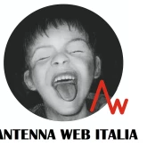 Antenna Web
