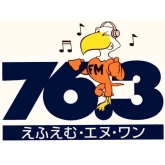 FM-N1