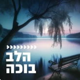 Kol Chai Music - הלב בוכה