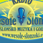 Wesole Slonzoki