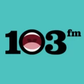 103 FM / Non Stop Radio (Тель-Авив, Израиль)
